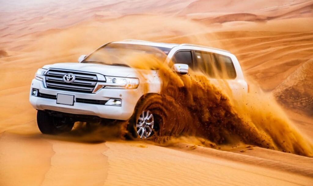 Morning desert safari