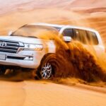 Morning desert safari