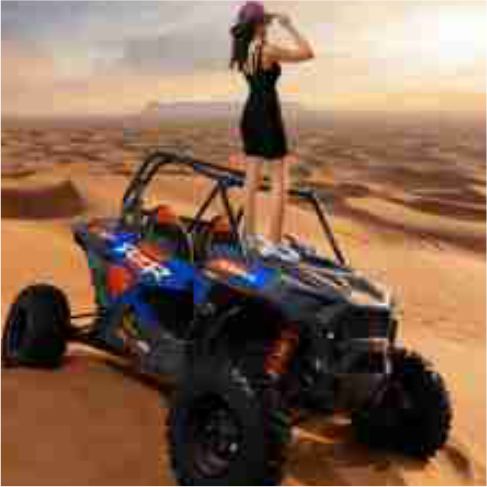 Morning desert safari gallery image 2