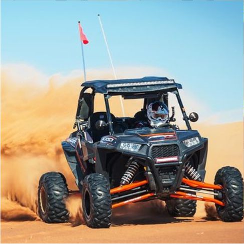 Morning desert safari gallery image 3