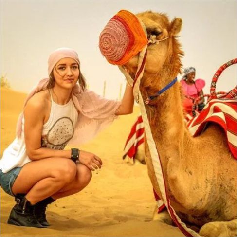 Morning desert safari gallery image 4