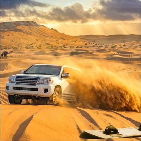 Morning desert safari gallery image 5